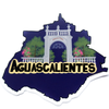 Aguascalientes State Design