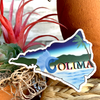 Colima State Design