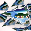 Colima State Design