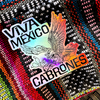 Viva Mexico Cabrones Holographic Sticker